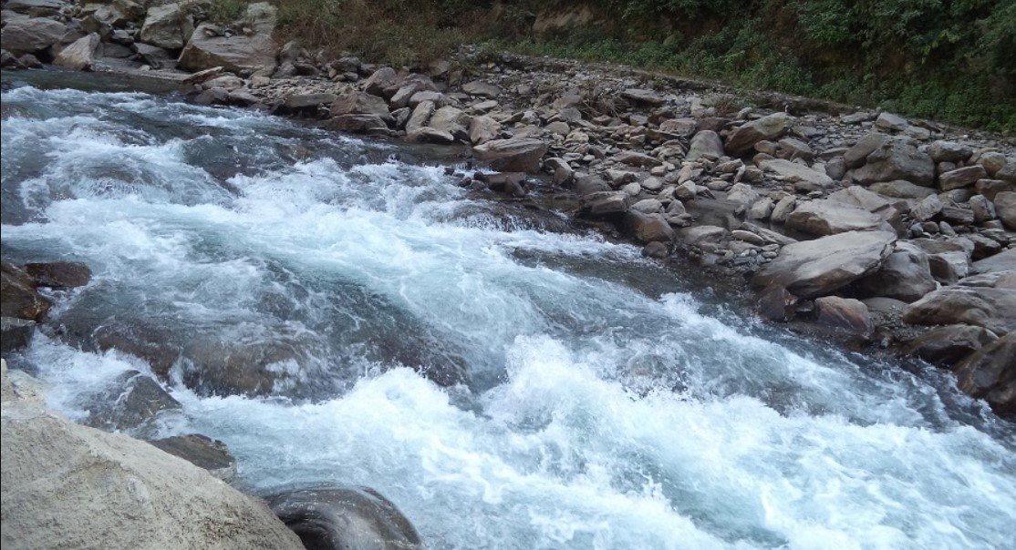 पाल्पामा खोलाले बगाएर मृत्यु
