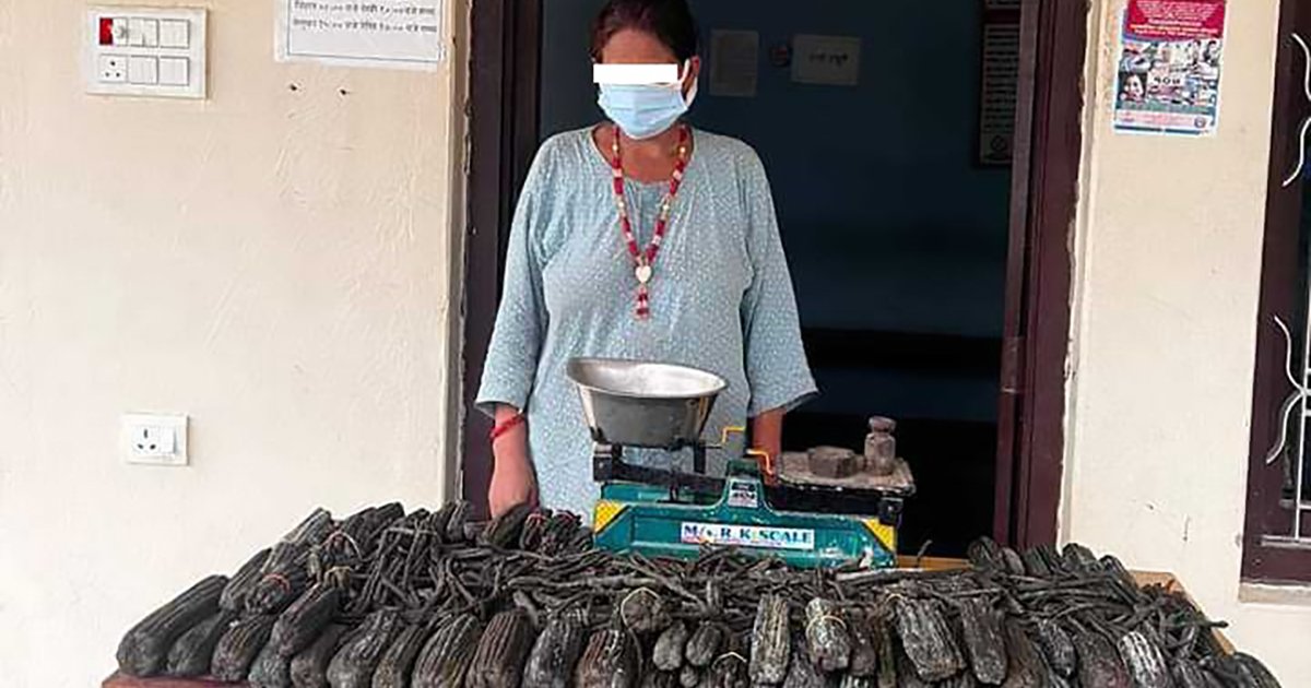 कैलालीबाट १६ किलो चरेससहित महिला पक्राउ