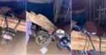 धनगढीमा मोटरसाइकलबाट काठ तस्करी
