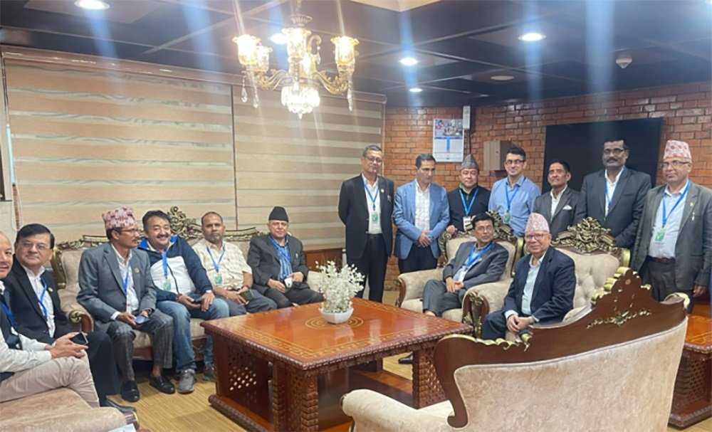 माधवकुमार नेपाल रुस प्रस्थान, कार्यवाहक अध्यक्ष पाण्डे