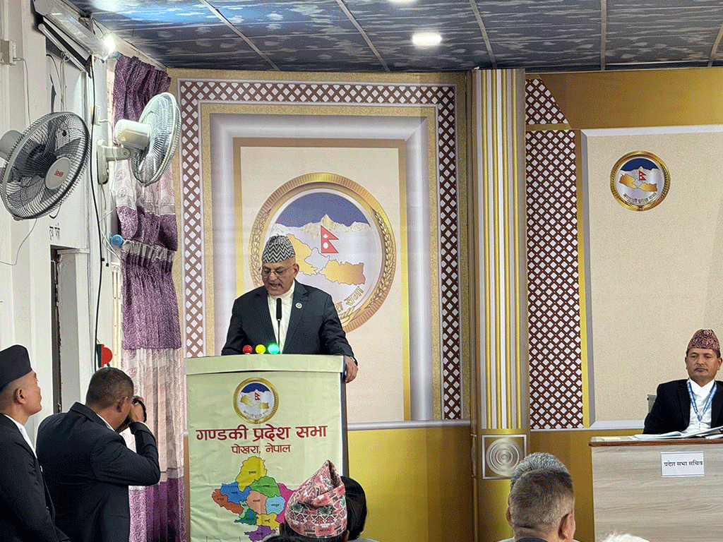 ‘प्रतिनिधि सभा निर्वाचनलाई सफल पार्नु प्रदेश सरकारको पनि दायित्व हो’ : मुख्यमन्त्री पाण्डे