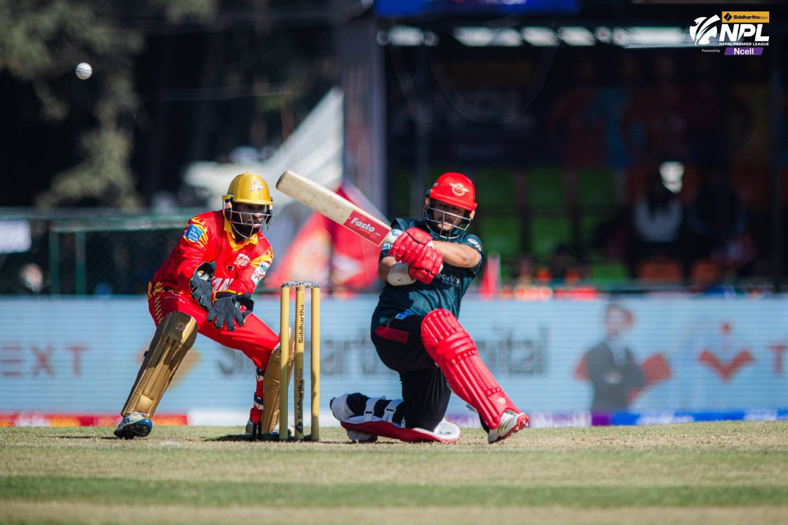 एनपीएल : रोसिङटन र निशमको अर्धशतकमा पोखराले लुम्बिनीलाई दियो १५१ रनको लक्ष्य