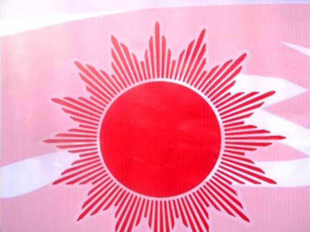 नेकपा एमालेले आज देशैभरि जनसभा गर्दै