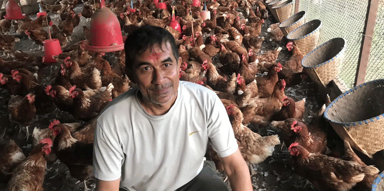 कुखुरा पालनबाट मासिक एक लाख आम्दानी