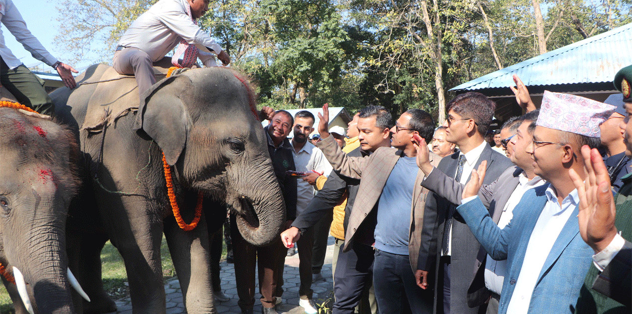 रुद्रकली र खगेन्द्रप्रसाद भैरहवा पुगे : भोलि कतार उड्दै