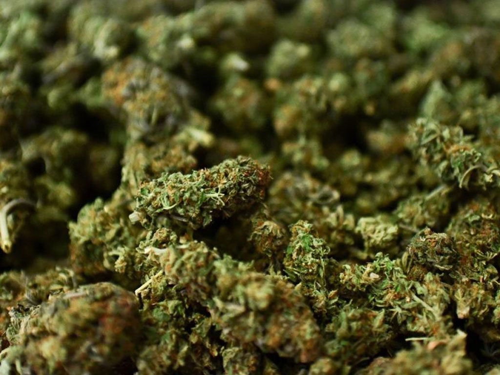 एम्बुलेन्सबाट ५१ किलो गाँजा बरामद