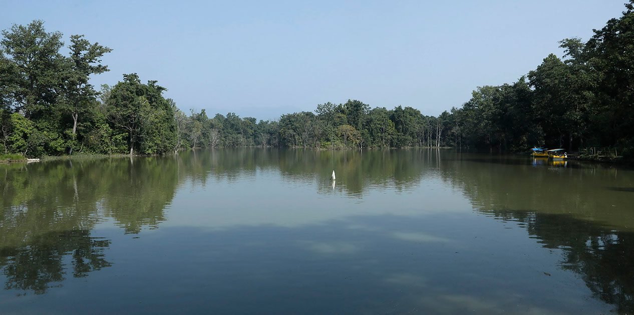 समन्वयबिना ठेक्का दिँदा घोडाघोडी तालका विषयमा विवाद