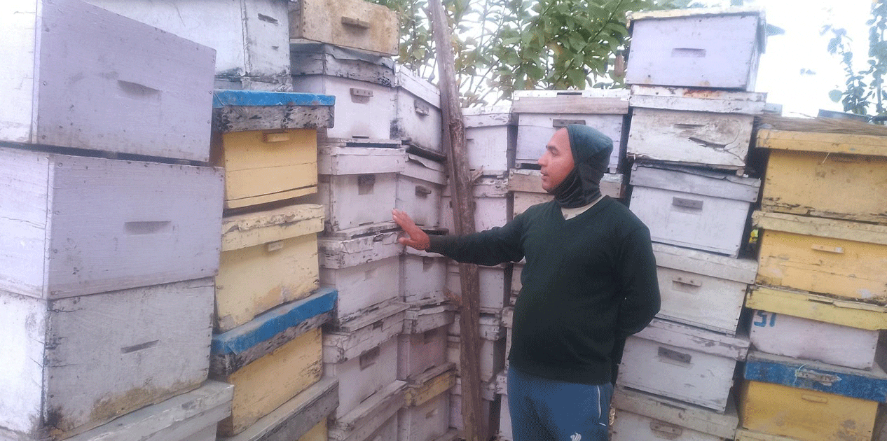 अवकाशपछिको जाँगर: मौरी पालनबाट मनग्य आम्दानी गर्दै घनश्याम