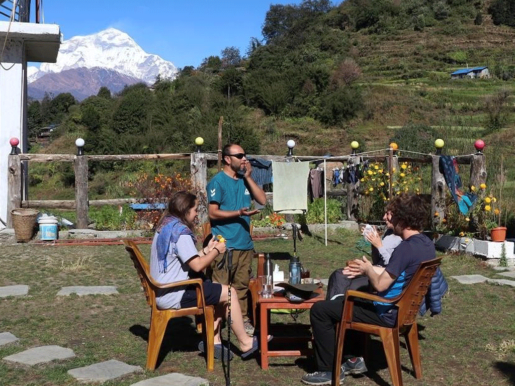 पर्यटकको रोजाइमा अन्नपूर्ण-धौलागिरि पदमार्ग