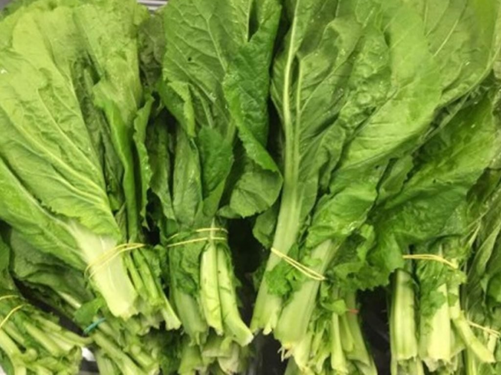 रायो सागमा भेटियो ९९ प्रतिशत विषादी