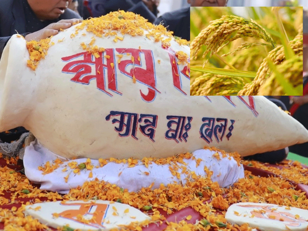 धानको पूजा गरी मनाइयो धान्यपूर्णिमा