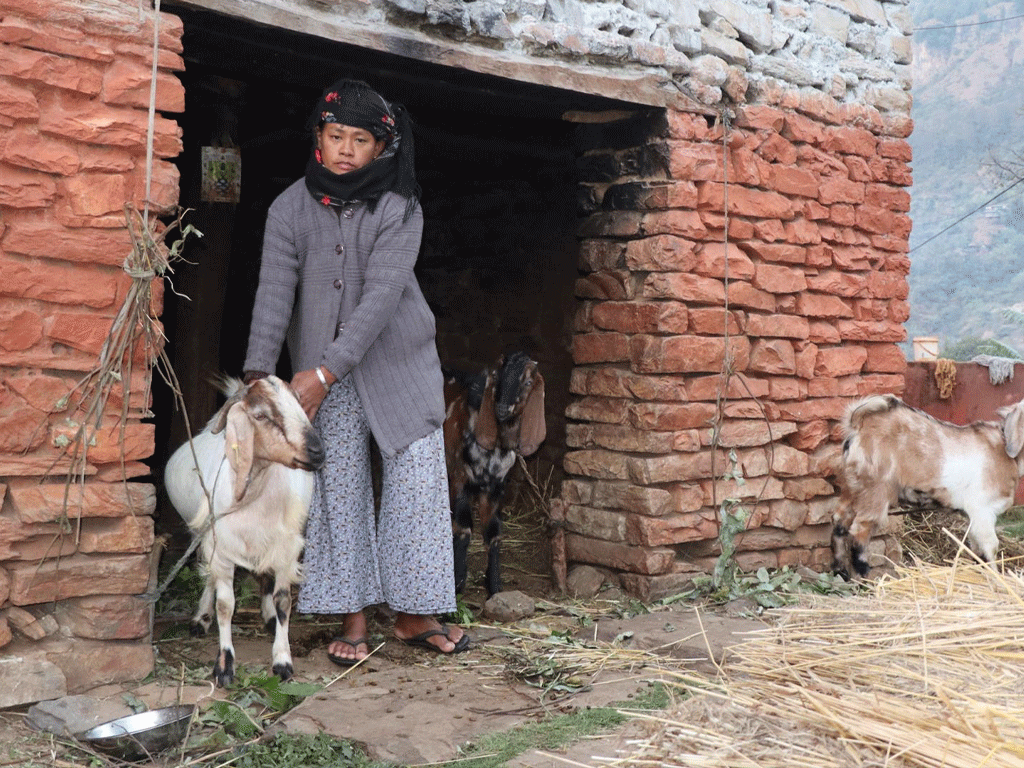 आर्थिक सामाजिक जोखिम व्यवस्थापन सूचना प्रणाली प्रभावकारी
