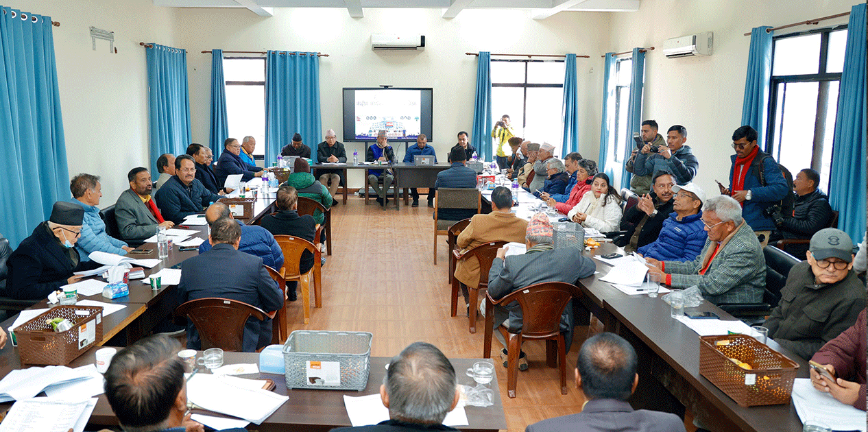 सानेपामा काँग्रेस केन्द्रीय कार्यसम्पादन समितिको बैठक सुरु