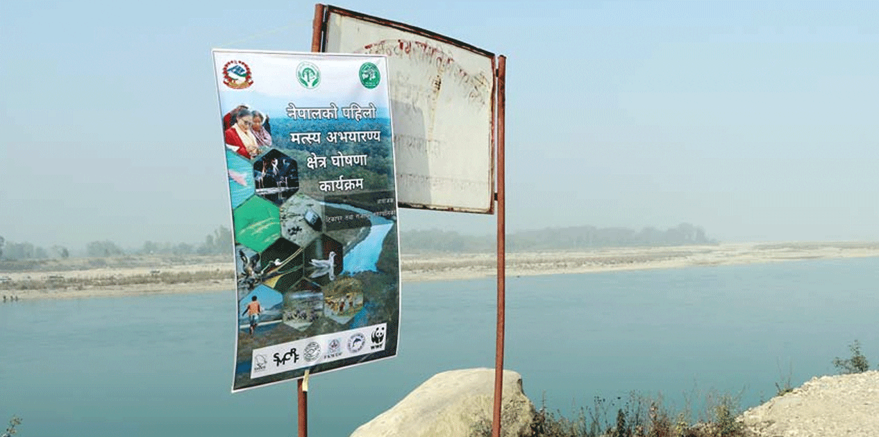 नेपालमा पहिलो मत्स्य अभयारण्य क्षेत्र घोषणा