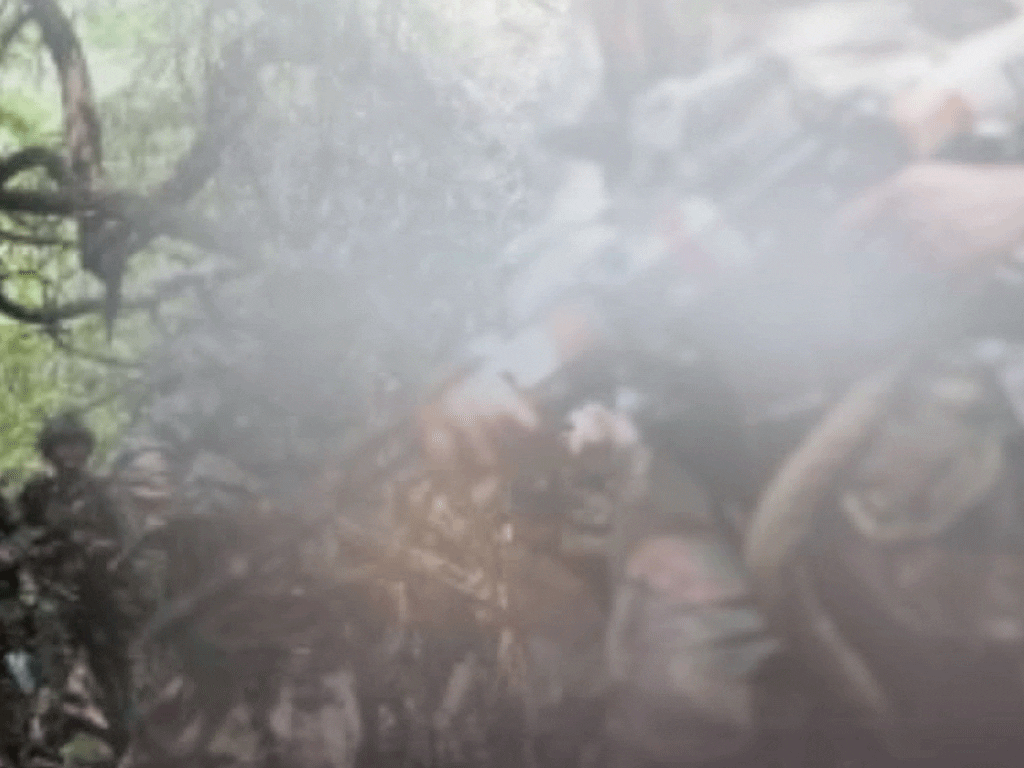 भारतको छत्तिसगढमा मारिए २५६ माओवादी